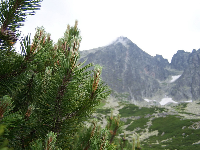 Fotogaléria Vysoké Tatry