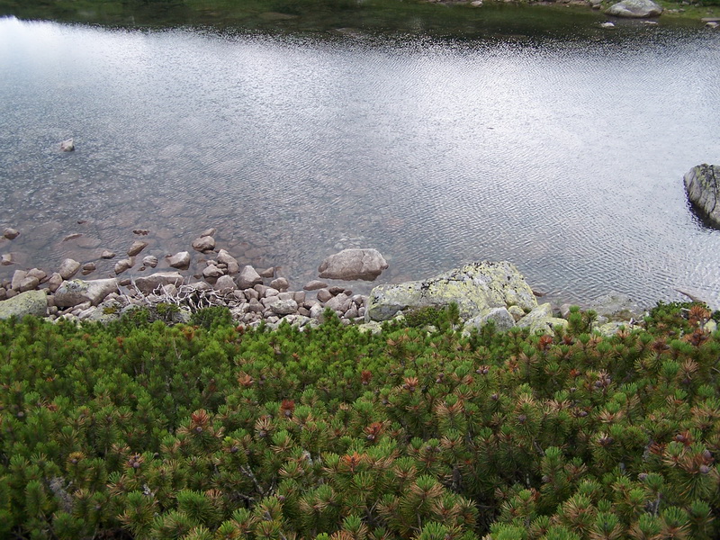 foto 07
